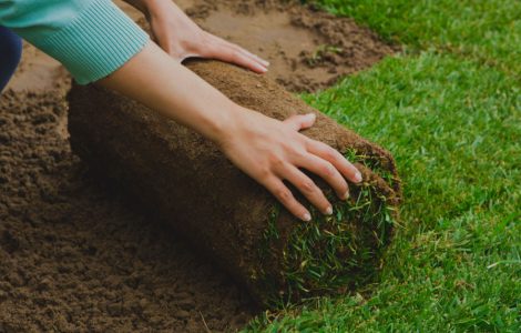 Zoom sur les mains d'une femme installant un rouleau de gazon dans le jardin