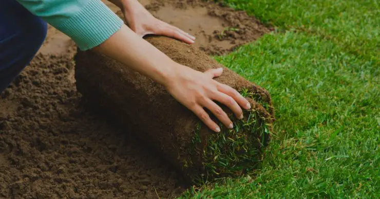 Zoom sur les mains d'une femme installant un rouleau de gazon dans le jardin