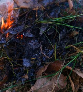 Déchets humides en train de brûler