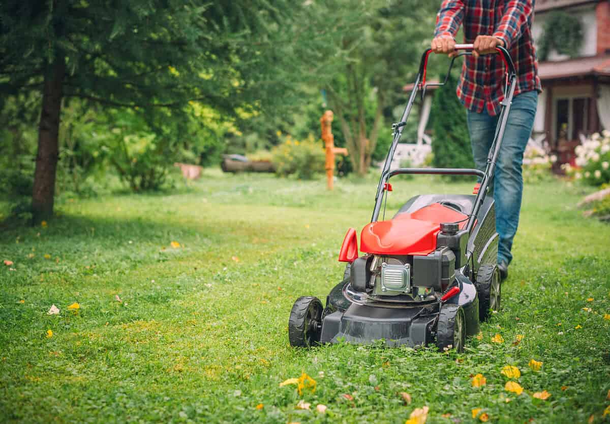 Pourquoi faut-il arrêter de tondre la pelouse cet été ? / iStock.com - ArtMarie