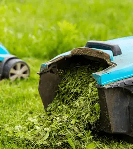 Vue sur une tondeuse à gazon dans le jardin