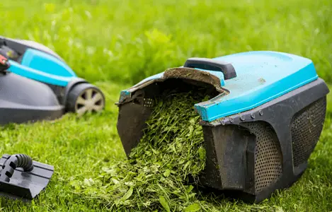 Vue sur une tondeuse à gazon dans le jardin