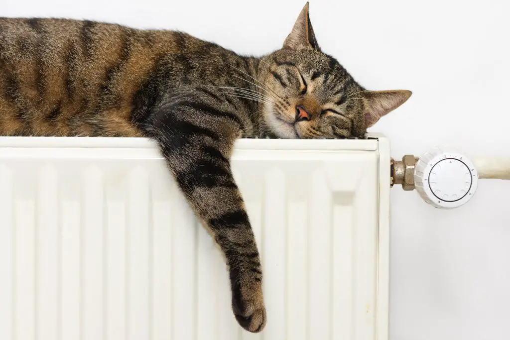 Changer ses vieux radiateurs pour des appareils plus économes, ça coûte moins cher en chauffage et ça améliore le confort thermique de la maison