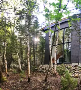 vue de la maison dans la forêt