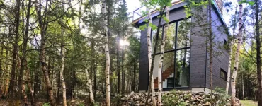 vue de la maison dans la forêt