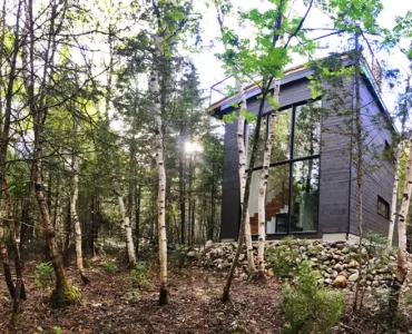 vue de la maison dans la forêt