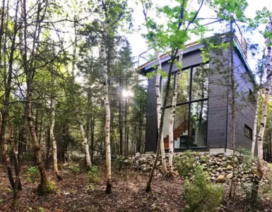 vue de la maison dans la forêt