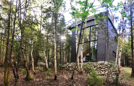 vue de la maison dans la forêt