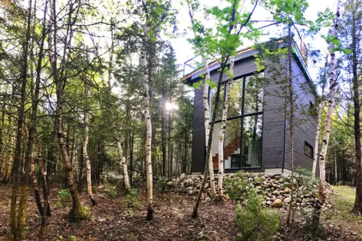 vue de la maison dans la forêt