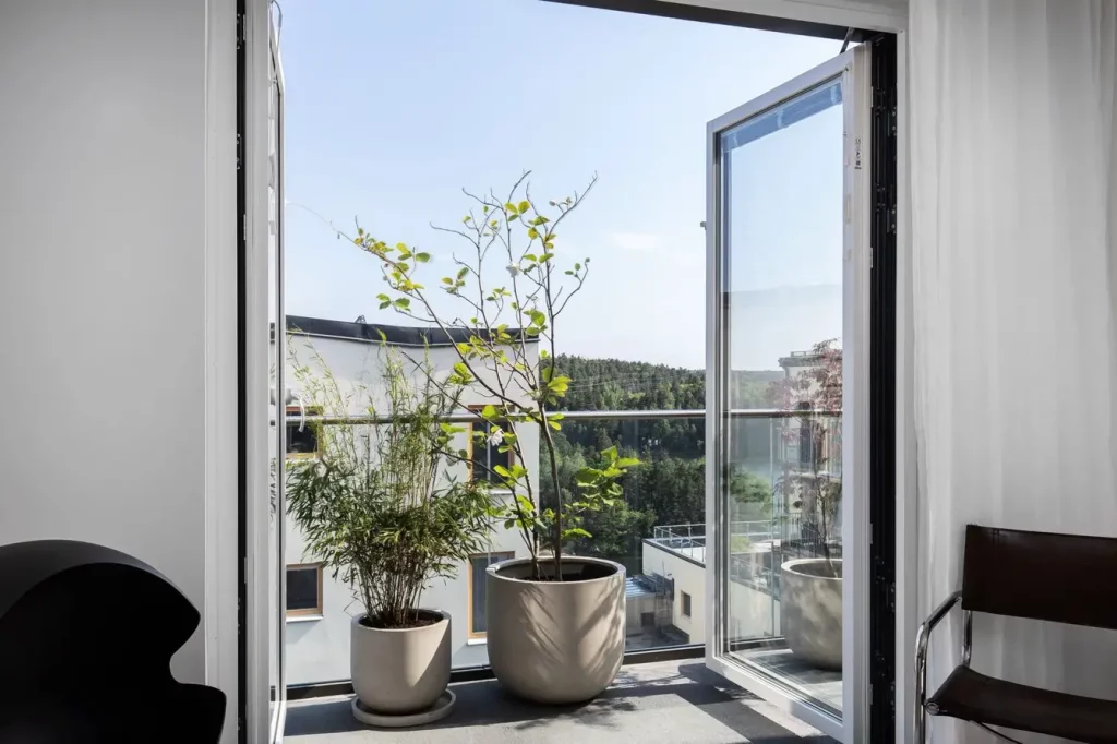 plantes sur la terrasse