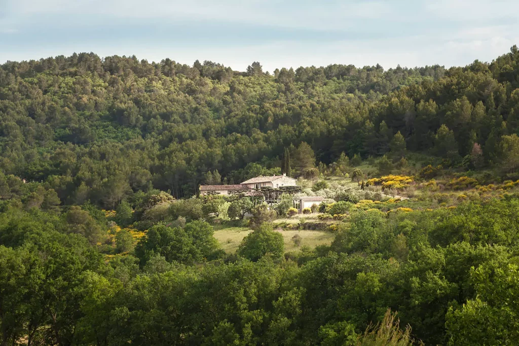 vue du mas en pleine foret