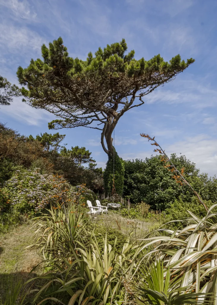 un espace de détente sous les arbres du jardin