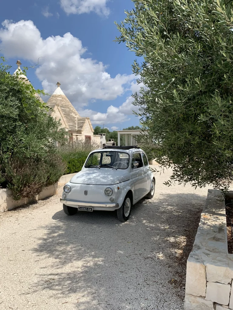 une adorable voiture dans le paysage sauvage