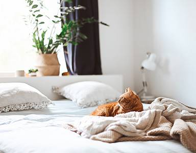 les tendances linge de lit pour l'hiver 2023-2024