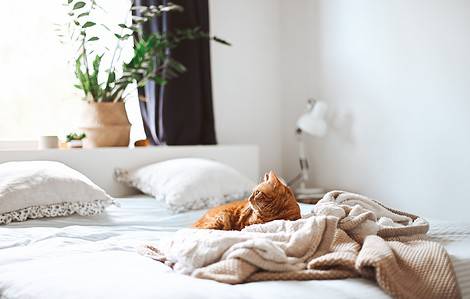 les tendances linge de lit pour l'hiver 2023-2024