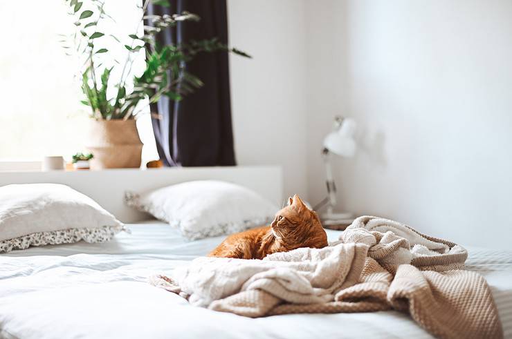 les tendances linge de lit pour l'hiver 2023-2024