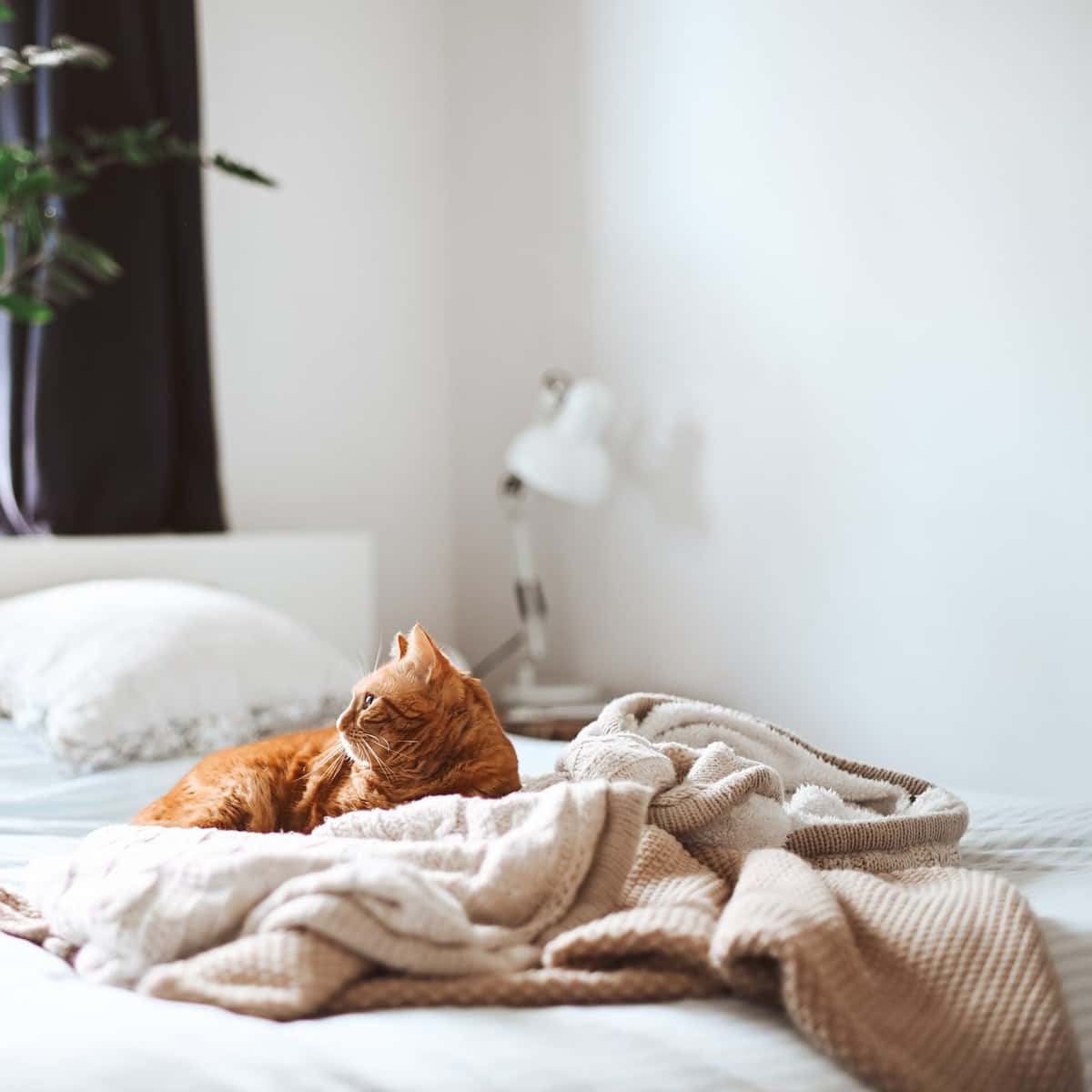 les tendances linge de lit pour l'hiver 2023-2024