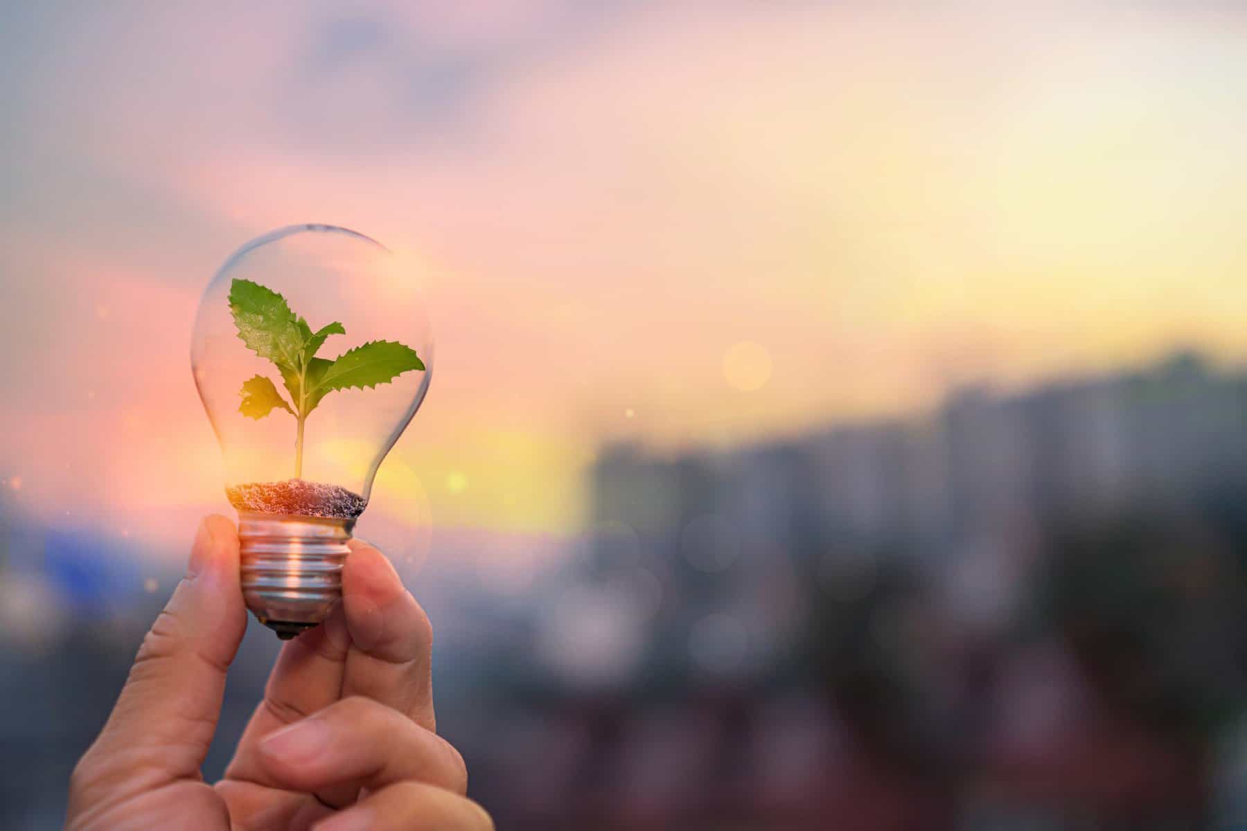 Offre électricité verte : comment la choisir, quels sont les avantages ?