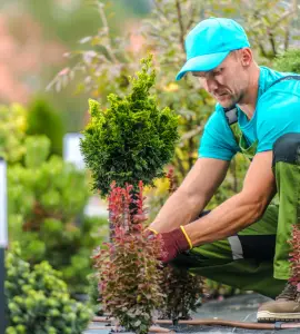 aménagement de jardin responsable avec un paysagiste