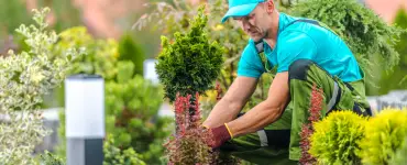 aménagement de jardin responsable avec un paysagiste