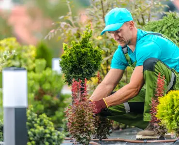 aménagement de jardin responsable avec un paysagiste