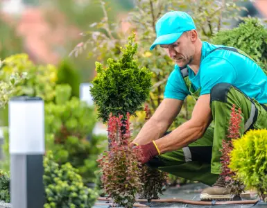 aménagement de jardin responsable avec un paysagiste