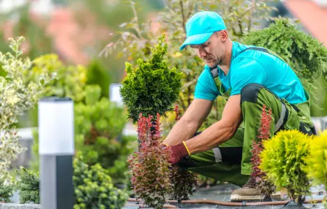 aménagement de jardin responsable avec un paysagiste