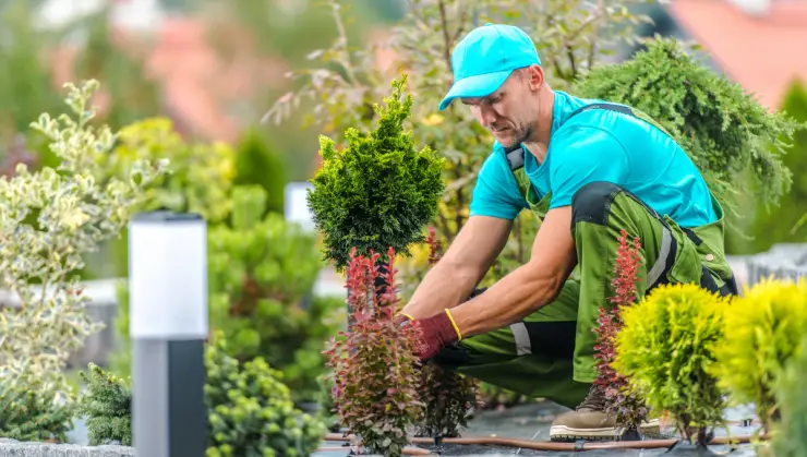 aménagement de jardin responsable avec un paysagiste
