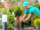 aménagement de jardin responsable avec un paysagiste